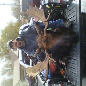 Moose2013