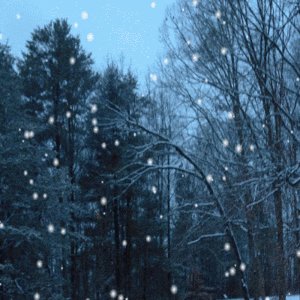 snow