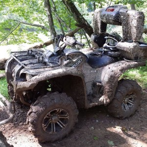 My muddy bitch along the trail later that day
