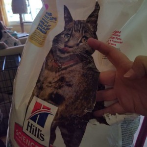 Resized_image000000[1]