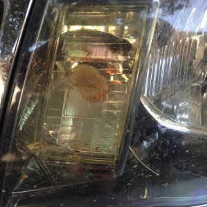 DTRL extended warranty claim