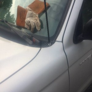 image9249