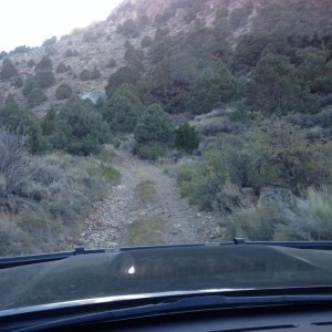 Looking for camping