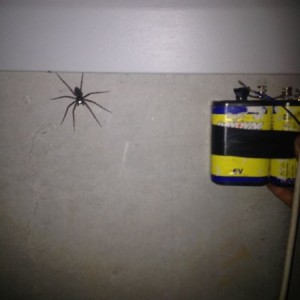 Think it's safe to say it's time to burn the house down. Next to 