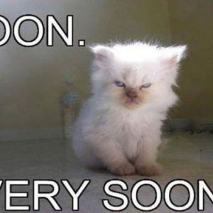 soon2