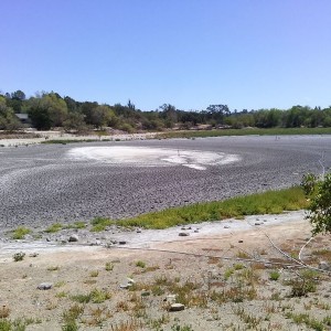 This place was filled with water and wildlife about a year ago. Hopefully w