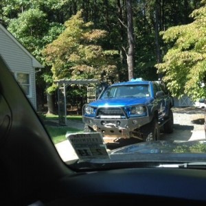 Spotted in a driveway.