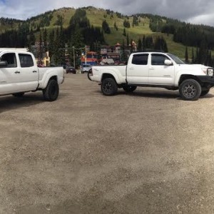 Super Whites In SilverStar