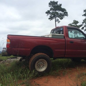 Stock on a rock