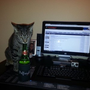 Ratchet enjoying a beer after a long day... damn cat. Lol