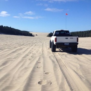 image9549