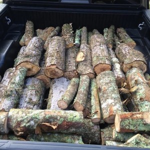 Small Load of Firewood