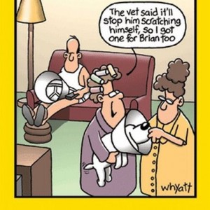 funny-cartoons-003