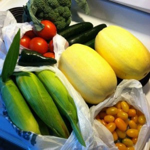 Not a bad haul for $11. I don't want farm stand season to end! :(