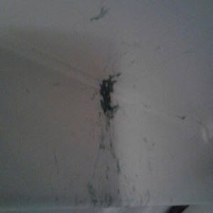 Anyone know how to get chewing gum out of a clothes dryer? Don't ask..