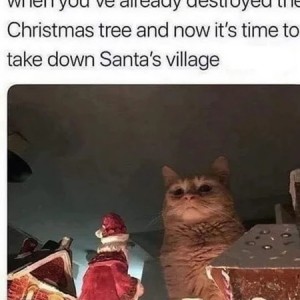 17335858598723819360841537425131_1449143965108439[1]