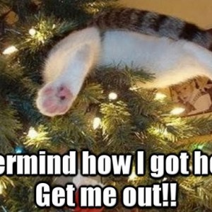 Get Me Out