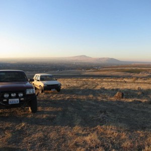 Tacoma and Tercel
