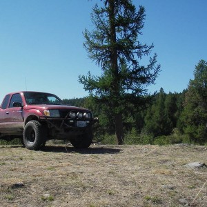 Island Lake, MT