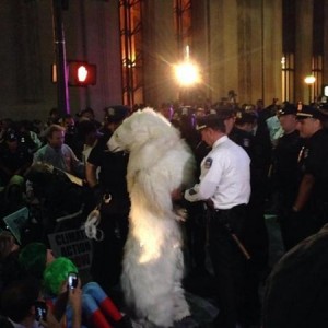 polar_bear_arrested_0