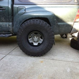 My tire sitting next to buddies stock tacoma. They should fit :D