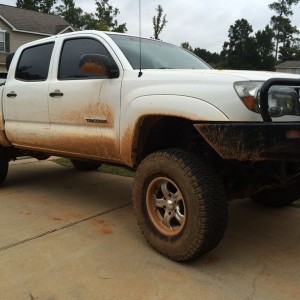 Needs a bath