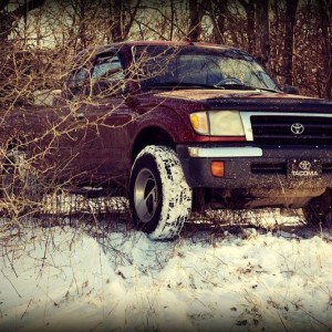 Playing in the snow