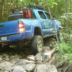 Cove 2011