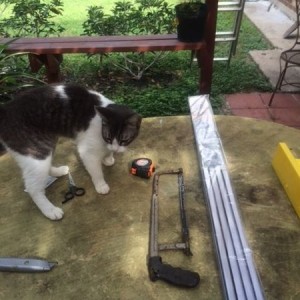 Got a helper now.