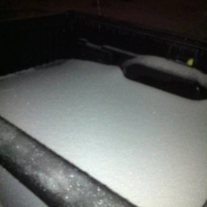 Bed of Ice