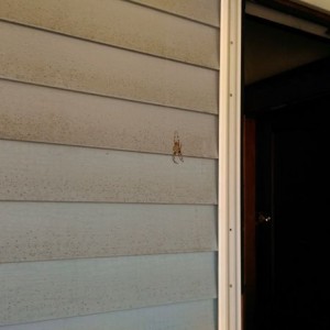 Almost walked into this.