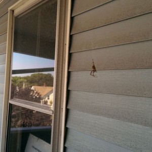 Almost walked into this.