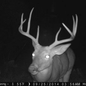 8-point