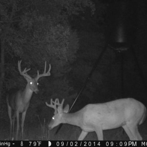 Wide 8-point