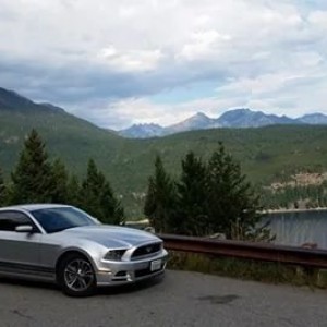 Stang