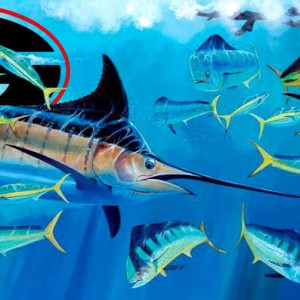Guy_Harvey_Theme