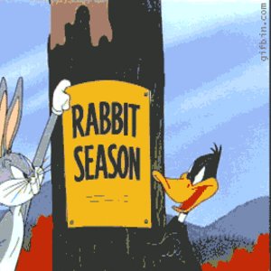 1235471162_duckrabbitseason-2