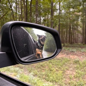 Rearview
