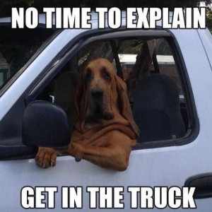 Driving-dog