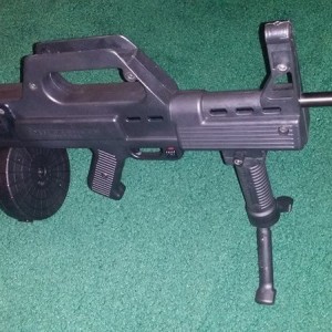 bull_pup_22