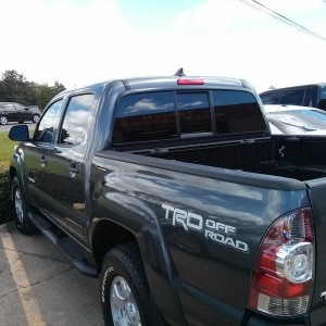 new tint
