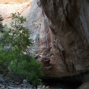 Hiked The Narrows in Zion today.