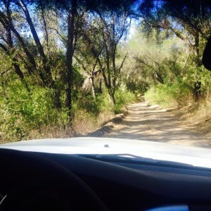 Lusardi Truck Trail (Socal)