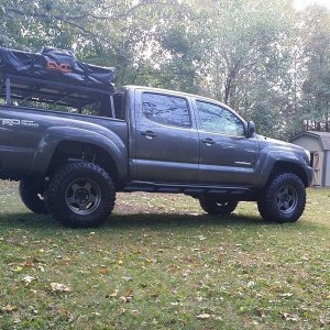liveP8lt6K
