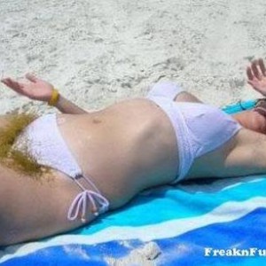 hairy_bush