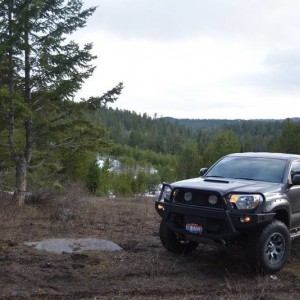 Tacoma