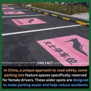 Female Parking China