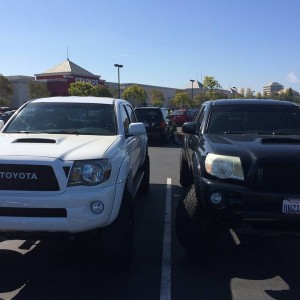 image9545