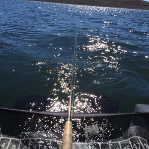 Strawberry Fishing 2014