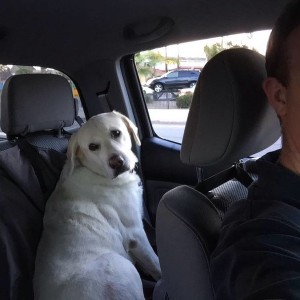 image10298